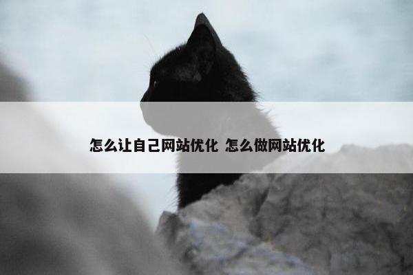 怎么让自己网站优化 怎么做网站优化