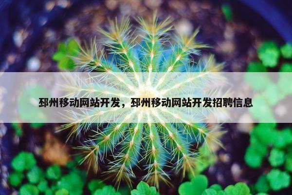 邳州移动网站开发，邳州移动网站开发招聘信息