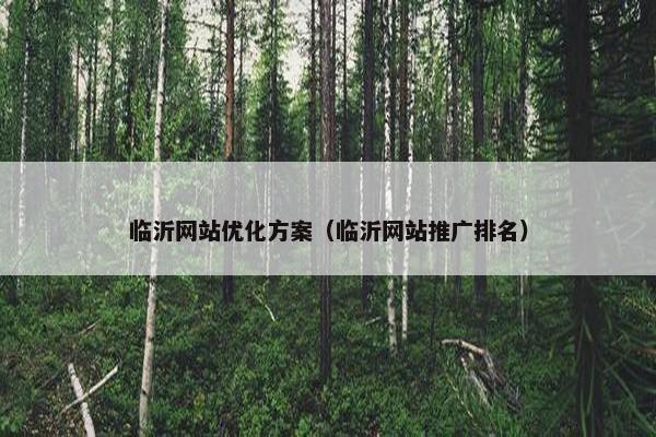 临沂网站优化方案（临沂网站推广排名）