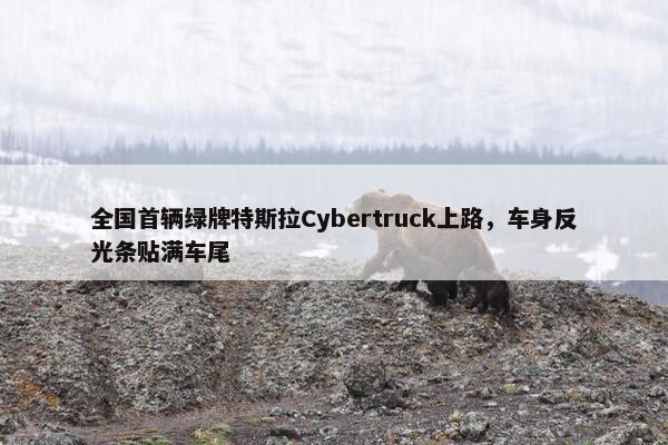 全国首辆绿牌特斯拉Cybertruck上路，车身反光条贴满车尾