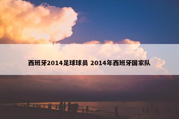 西班牙2014足球球员 2014年西班牙国家队