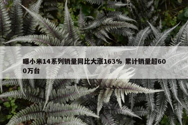 曝小米14系列销量同比大涨163% 累计销量超600万台