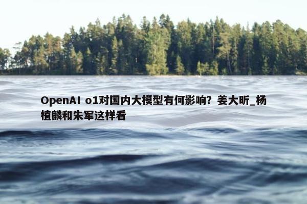 OpenAI o1对国内大模型有何影响？姜大昕_杨植麟和朱军这样看