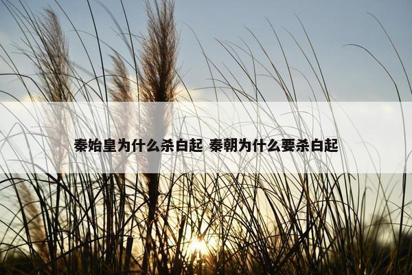 秦始皇为什么杀白起 秦朝为什么要杀白起