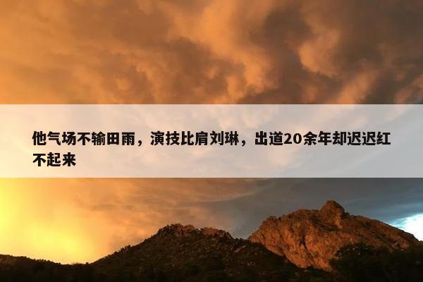 他气场不输田雨，演技比肩刘琳，出道20余年却迟迟红不起来