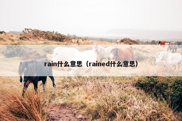 rain什么意思（rained什么意思）