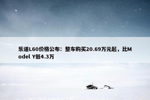 乐道L60价格公布：整车购买20.69万元起，比Model Y低4.3万