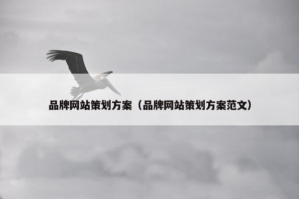 品牌网站策划方案（品牌网站策划方案范文）