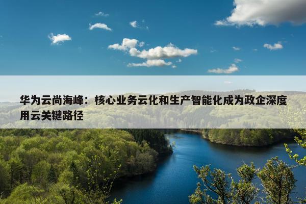 华为云尚海峰：核心业务云化和生产智能化成为政企深度用云关键路径