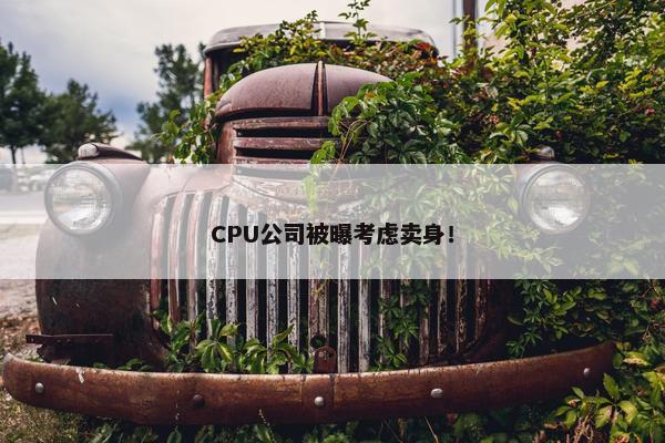 CPU公司被曝考虑卖身！