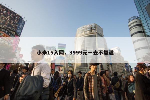 小米15入网，3999元一去不复返