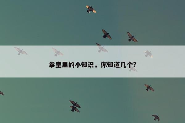 拳皇里的小知识，你知道几个？