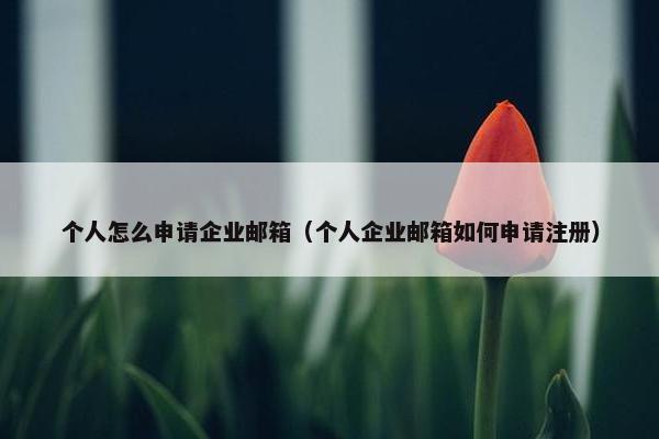 个人怎么申请企业邮箱（个人企业邮箱如何申请注册）