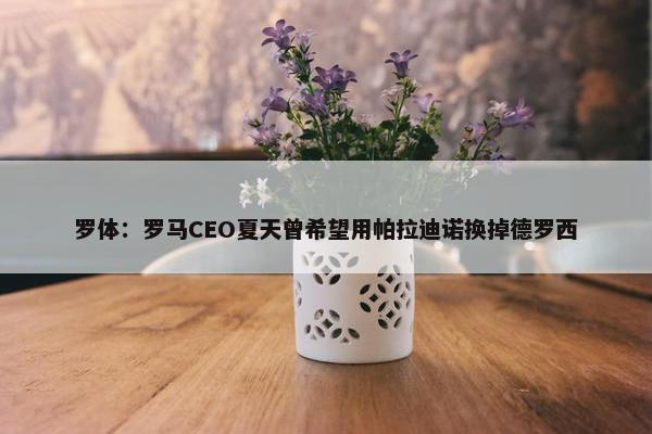 罗体：罗马CEO夏天曾希望用帕拉迪诺换掉德罗西