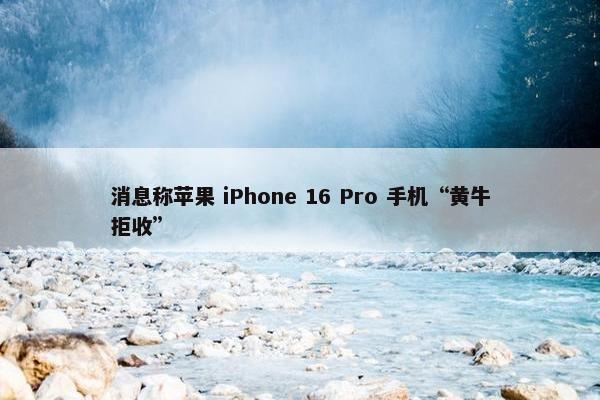 消息称苹果 iPhone 16 Pro 手机“黄牛拒收”