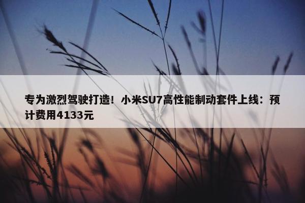 专为激烈驾驶打造！小米SU7高性能制动套件上线：预计费用4133元