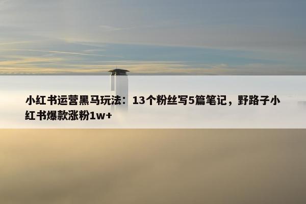 小红书运营黑马玩法：13个粉丝写5篇笔记，野路子小红书爆款涨粉1w+