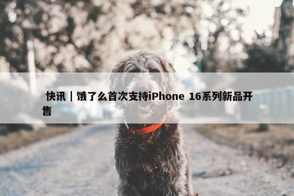  快讯｜饿了么首次支持iPhone 16系列新品开售