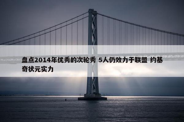 盘点2014年优秀的次轮秀 5人仍效力于联盟 约基奇状元实力