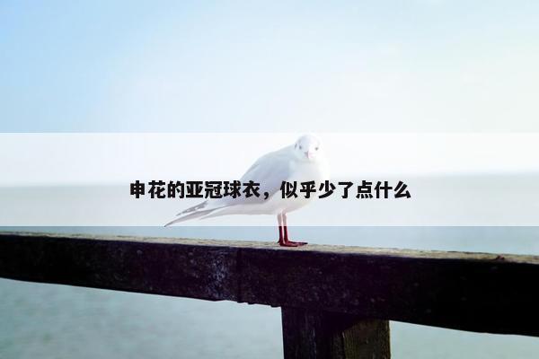 申花的亚冠球衣，似乎少了点什么