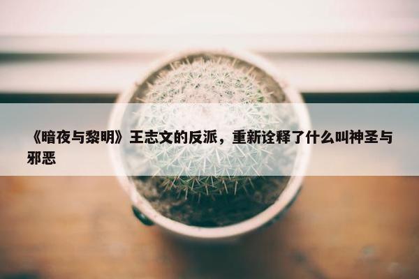 《暗夜与黎明》王志文的反派，重新诠释了什么叫神圣与邪恶