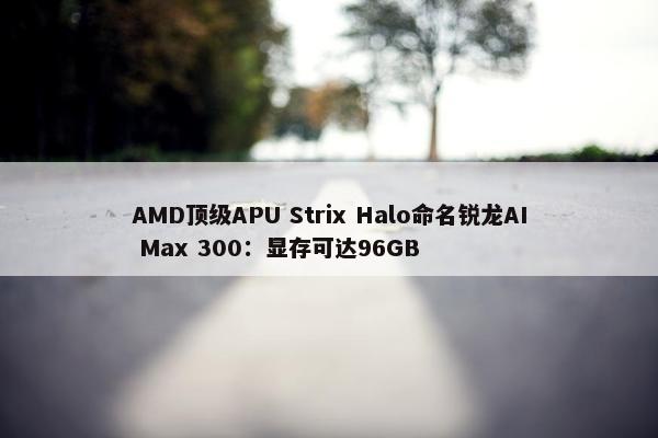 AMD顶级APU Strix Halo命名锐龙AI Max 300：显存可达96GB