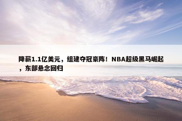 降薪1.1亿美元，组建夺冠豪阵！NBA超级黑马崛起，东部悬念回归