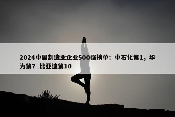 2024中国制造业企业500强榜单：中石化第1，华为第7_比亚迪第10