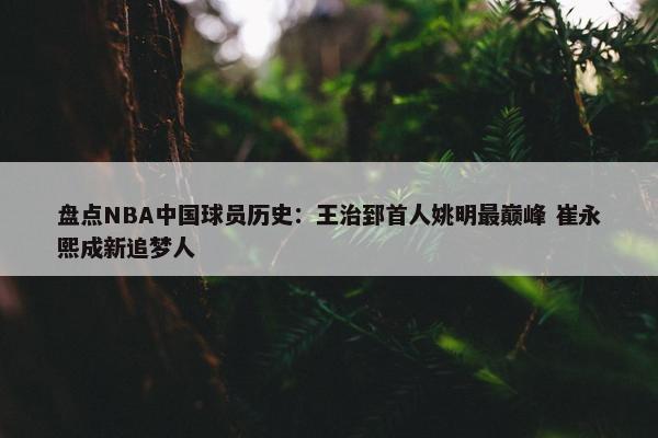 盘点NBA中国球员历史：王治郅首人姚明最巅峰 崔永熙成新追梦人