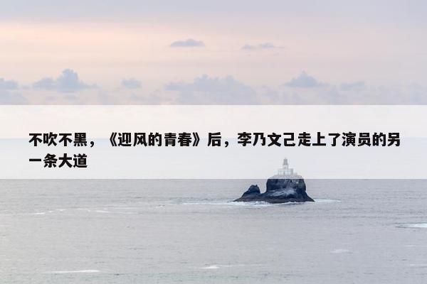 不吹不黑，《迎风的青春》后，李乃文己走上了演员的另一条大道