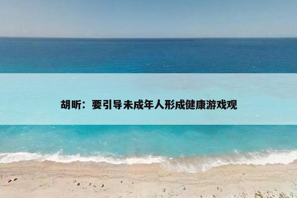 胡昕：要引导未成年人形成健康游戏观