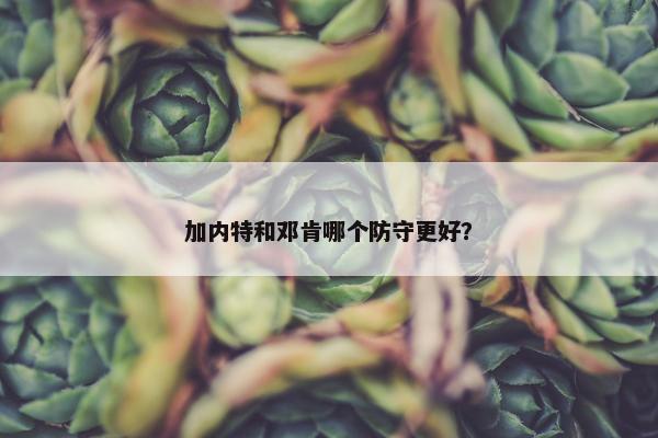 加内特和邓肯哪个防守更好？