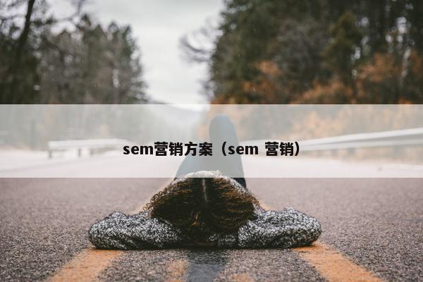 sem营销方案（sem 营销）