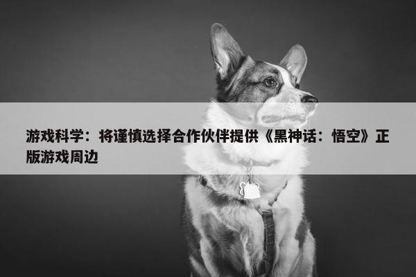 游戏科学：将谨慎选择合作伙伴提供《黑神话：悟空》正版游戏周边