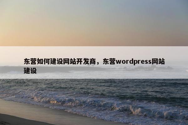 东营如何建设网站开发商，东营wordpress网站建设