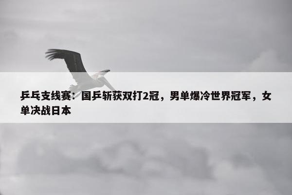 乒乓支线赛：国乒斩获双打2冠，男单爆冷世界冠军，女单决战日本