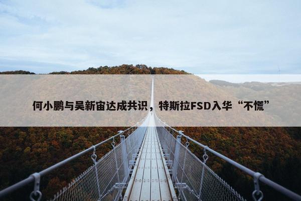 何小鹏与吴新宙达成共识，特斯拉FSD入华“不慌”