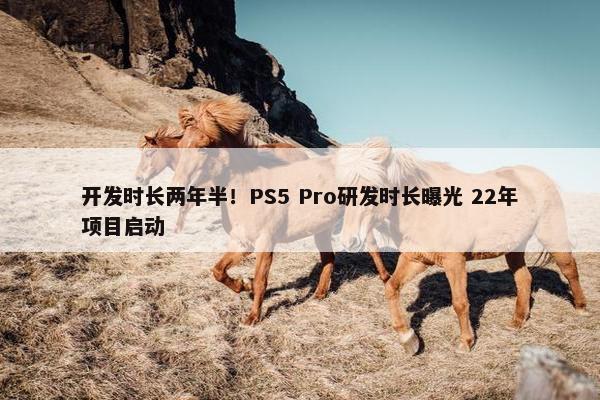 开发时长两年半！PS5 Pro研发时长曝光 22年项目启动