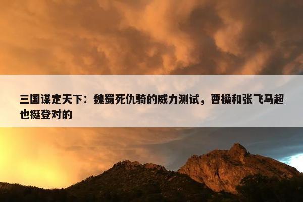 三国谋定天下：魏蜀死仇骑的威力测试，曹操和张飞马超也挺登对的