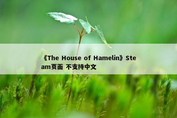 《The House of Hamelin》Steam页面 不支持中文