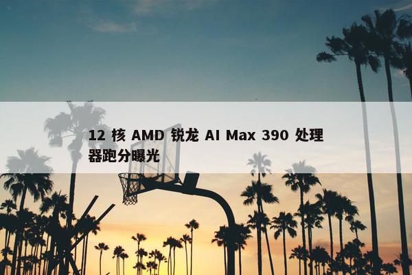 12 核 AMD 锐龙 AI Max 390 处理器跑分曝光