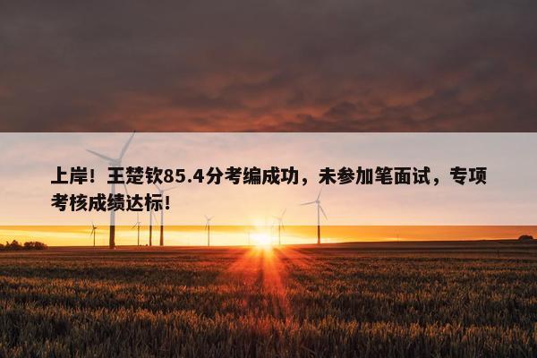 上岸！王楚钦85.4分考编成功，未参加笔面试，专项考核成绩达标！