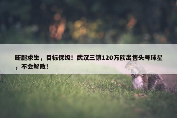 断腿求生，目标保级！武汉三镇120万欧出售头号球星，不会解散！