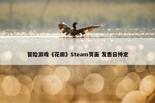 冒险游戏《花田》Steam页面 发售日待定