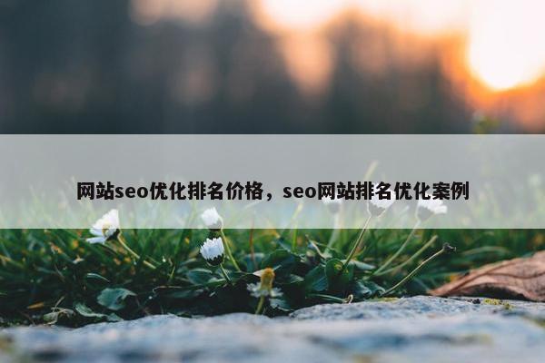 网站seo优化排名价格，seo网站排名优化案例