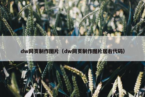 dw网页制作图片（dw网页制作图片居右代码）