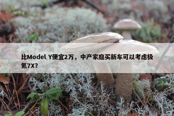 比Model Y便宜2万，中产家庭买新车可以考虑极氪7X？