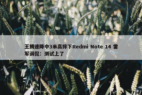 王腾速降中3米高摔下Redmi Note 14 雷军调侃：测试上了