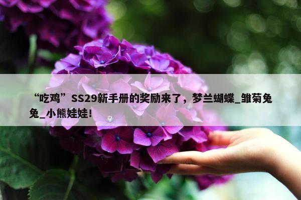 “吃鸡”SS29新手册的奖励来了，梦兰蝴蝶_雏菊兔兔_小熊娃娃！