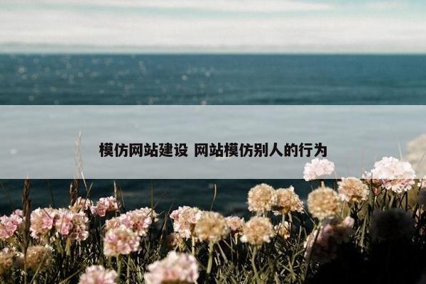 模仿网站建设 网站模仿别人的行为